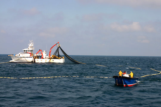 Fototapeta la pêche au thon-9