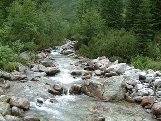 mountain brook