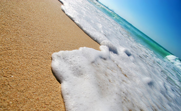 tropical beach