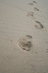 footsteps on the beach