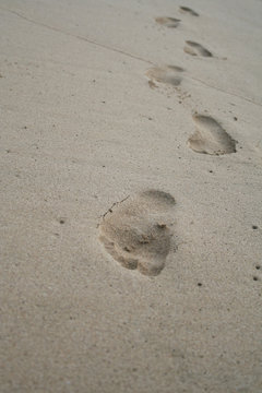 footsteps on the beach