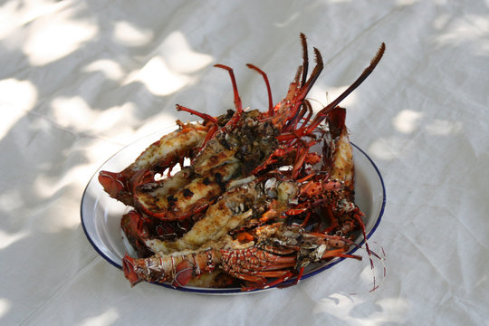 repas de langoustes grill&eacute;es