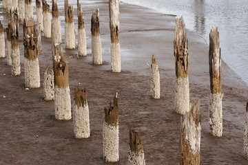 pier posts