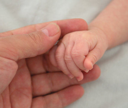 baby s hand