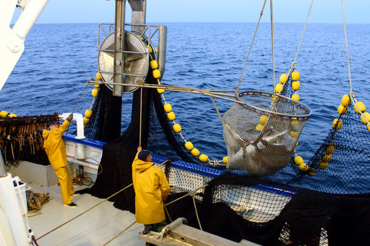 Fototapeta la pêche au thon-34