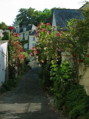 village in france