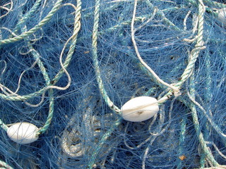 les filets bleus