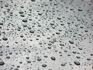 raindrops