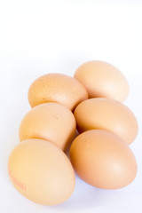 eggs