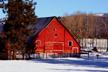 elo barn 2006 - 2