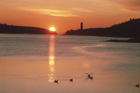 Sunrise At Northwest Arm