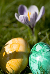 ostereier und frühlingsblumen