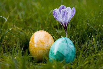 ostereier und frühlingsblumen