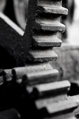 cog