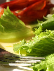 healthy salad