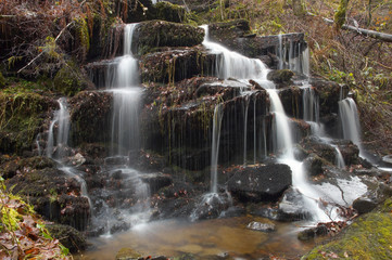 the birks of aberfeldy