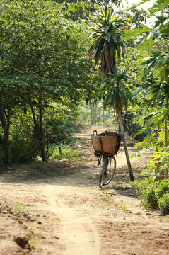 delta du mekong