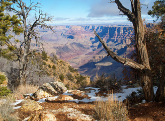 Fototapeta premium grand canyon national park