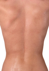 Fototapeta premium wet back