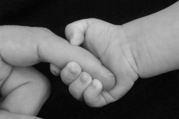 Fototapeta premium baby hand holding finger