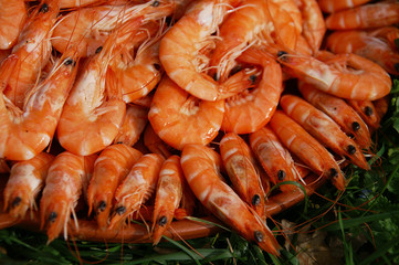 crevettes