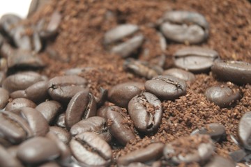 coffee beans