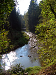 a silent river
