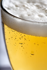 close up of beer