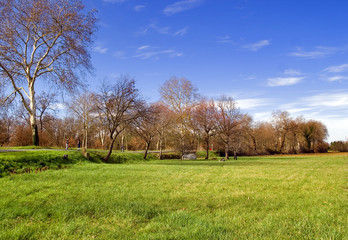 paysage de printemps