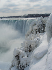 ice covered trees with falls