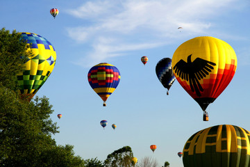hot air balloons 003