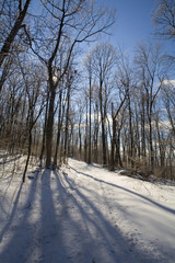 snowy road