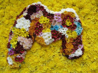 m for mother