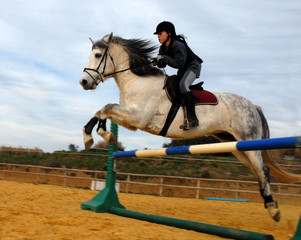 sport equestre © cynoclub