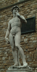 david