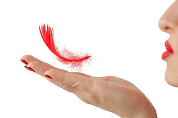 red feather - 2567452