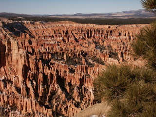 Fototapeta na wymiar bryce canyon