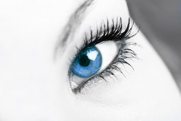 captivate