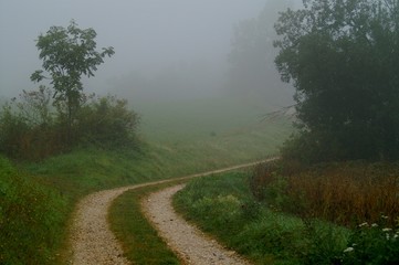 le chemin dans le brouillard