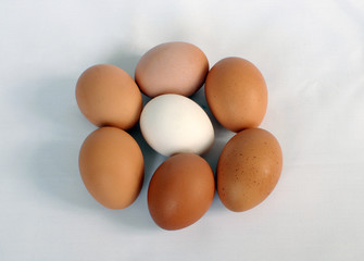 eggs