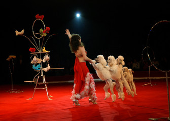 in circus