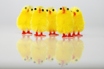ostern küken easter chick