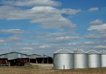 silo family © feisty