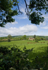 surrey countryside at wotton