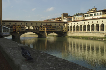 florence - ponte vecchio09