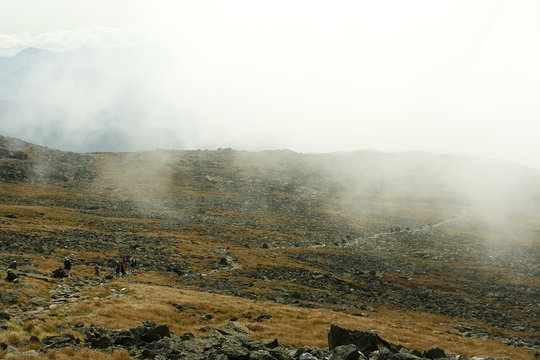 misty trail