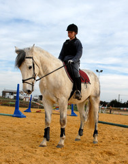 cavaliere sur iberique © cynoclub