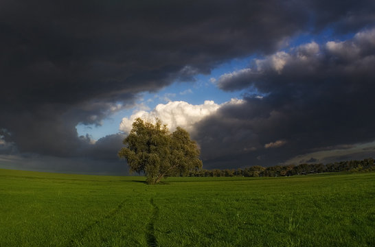 before a thunder-storm