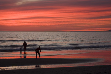 venice beach sunset