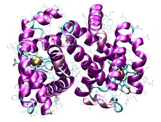 haemoglobin